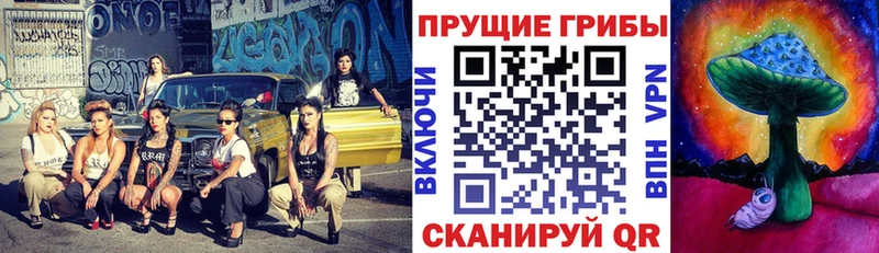 Псилоцибиновые грибы Psilocybine cubensis  Новотроицк 