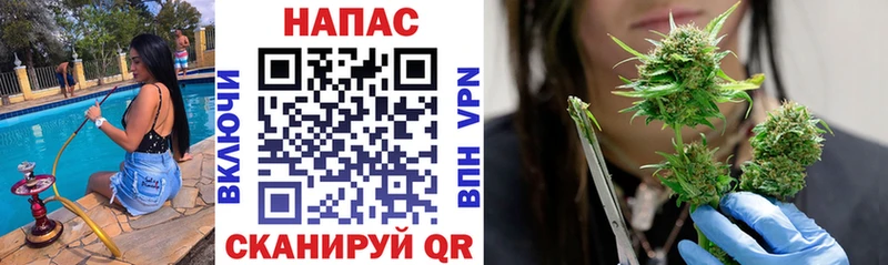 Бошки марихуана SATIVA & INDICA  KRAKEN как войти  Новотроицк  где найти наркотики 